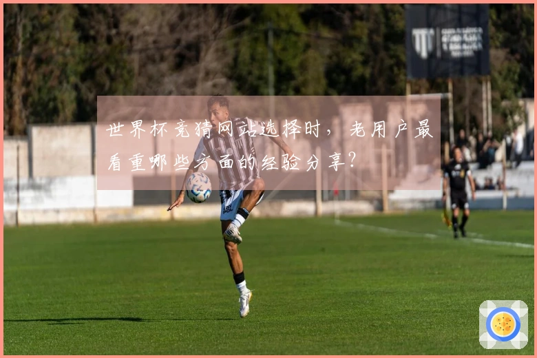 世界杯竞猜网站选择时,老用户最看重哪些方面的经验分享?