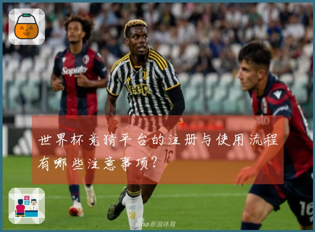 世界杯竞猜平台的注册与使用流程有哪些注意事项？