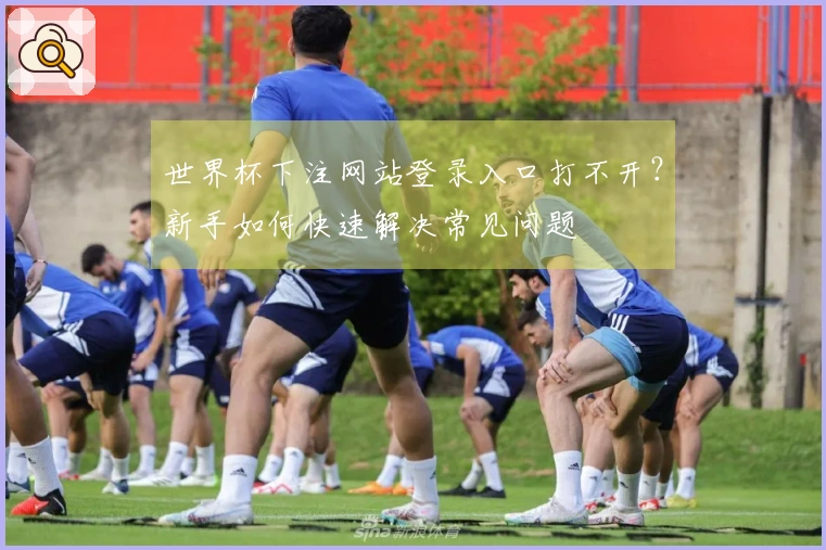 世界杯下注网站登录入口打不开？新手如何快速解决常见问题