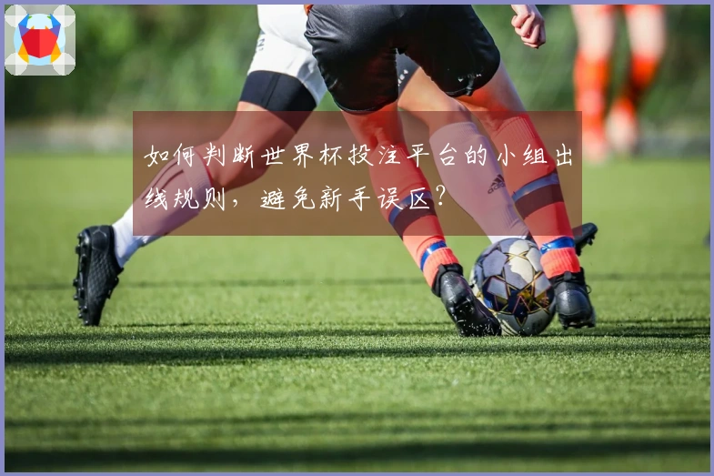 如何判断世界杯投注平台的小组出线规则，避免新手误区？