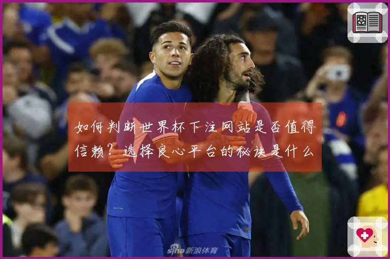 如何判断世界杯下注网站是否值得信赖？选择良心平台的秘诀是什么？